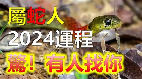 屬蛇今年幸運色|【屬蛇幸運色】屬蛇人2024年必知的幸運色，讓你整。